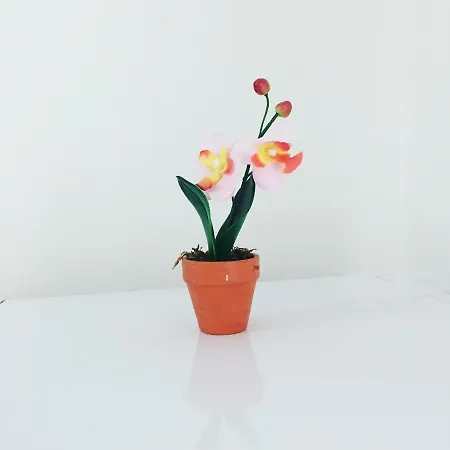 Erion's Apartment